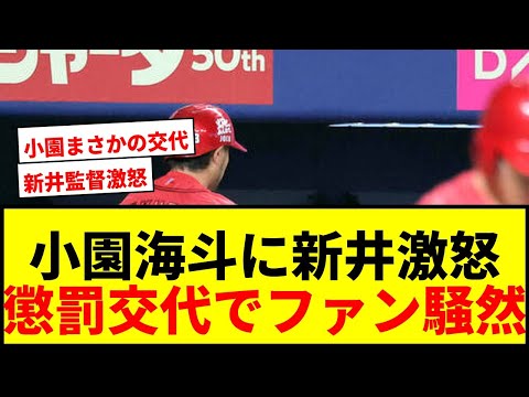 【広島】新井監督が小園海斗に激怒!「チームの士気が下がる」懲罰交代にファン賛否両論
