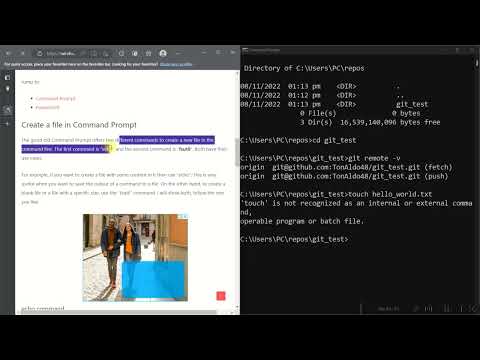 Git Basics || The Odin Project