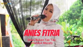 Download lagu DIAM BUKAN TAK TAU ( HANDUK MERAH ) || ANIES FITRIA || PENYANYI ASLI HANDUK MERAH. mp3