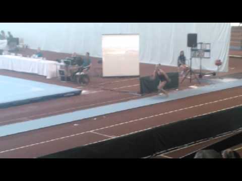 Riina Kaleva FINGYM 2014 VT2