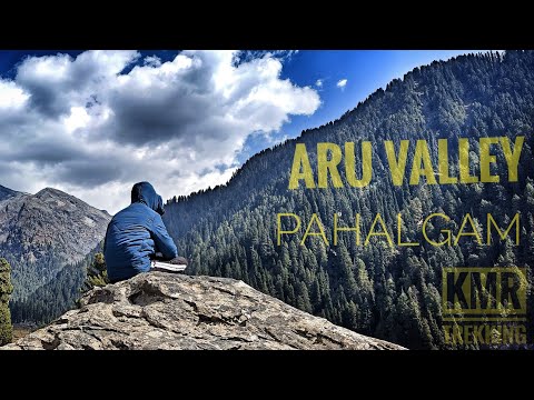 Mir Faisal  ARU VALLEY