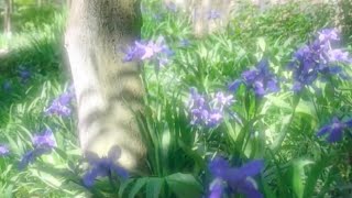 Download lagu who’s gonna stay in ordinary day... ardhito pramono mp3