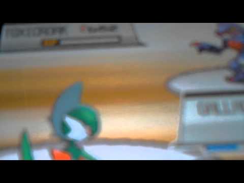 pokemon soul silver janine rematch