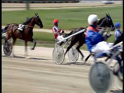 Trotto 24/05/2019 - 1ª corsa