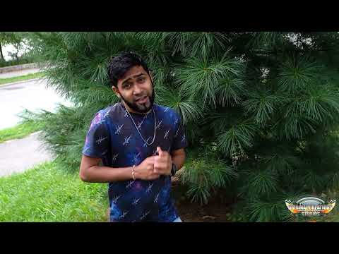 TASHA HARRY AND JESH Ramnanan Thoda Sa Pyar (Remix) BOLLYWOOD COVER 2025