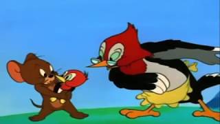 Tom and Jerry - Telur dan Jerry(The Egg and Jerry Cartoon, bahasa indonesia sub)