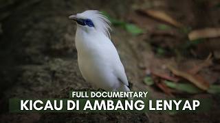 Download lagu Burung Jalak: Bertahan di Alam yang Berubah | Full Documentary mp3