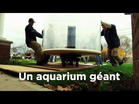 comment construire un aquarium géant