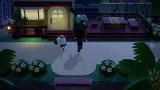 Is This a Race Niko...