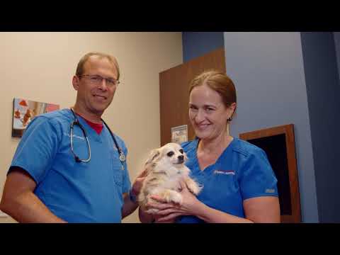 Lake Lavon Animal Hospital Overview