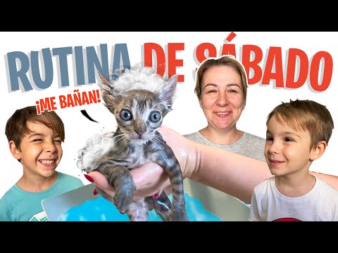 ¡NUEVA RUTINA de SÁBADO! Bañamos a PANTHER por PRIMERA VEZ
