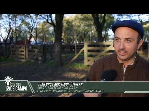 Resumen del remate de Hugo R. Aristegui - Lunes 18 de junio de 2018  - Cacharí