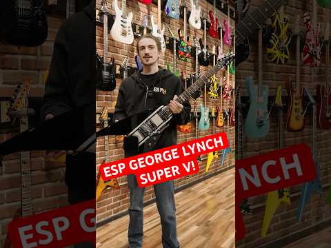 ESP Signature Series George Lynch Super V Special Edition Black with Silver Stripes 2008 w/OHSC image 14