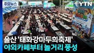 가장 먼저 열린 여름축제...울산 '태화강마두희축제' / YTN