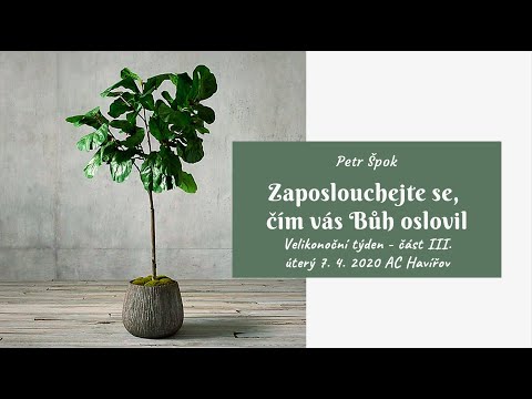 07.04.2020 Petr Špok - Zaposlouchejte se, čím vás Bůh oslovil