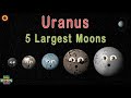 Uranus' 5 Largest Moons | Space Explained by KLT