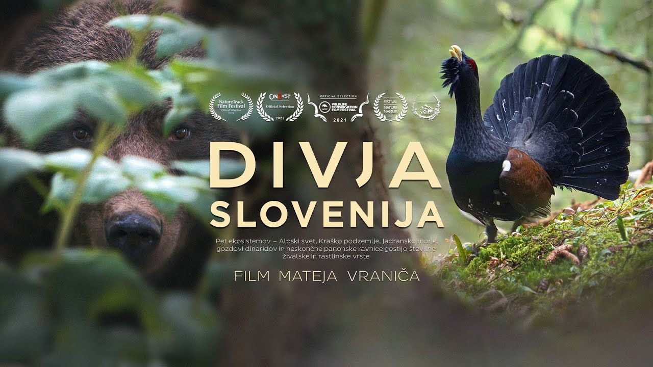 Wild Slovenia