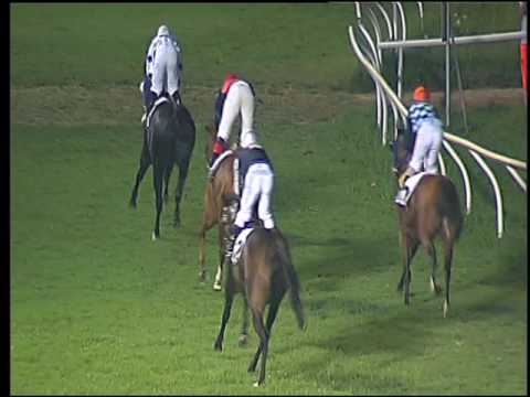 Galoppo 03/08/2016 - 6° corsa