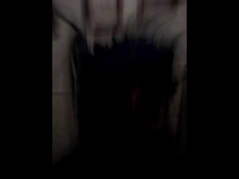 LITE FORTUNATO z ZOOKEEPER #PRE40