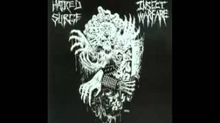 Hatred Surge & Insect Warfare - Split EP (2006)