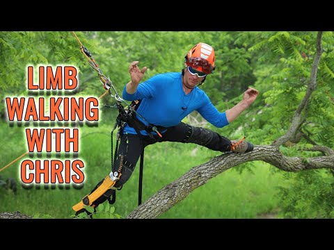 Tree Limb Walking Techniques w/ Chris