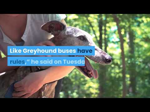 jeffrey toobin drops the hammer on twitter ignoring its own rules for donald trump