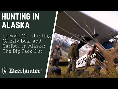 chasse en Alaska