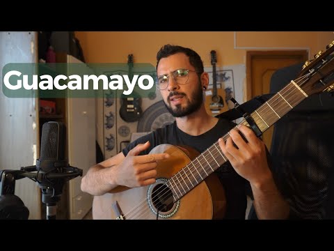 Guacamayo (Danit) - Guitar Tutorial