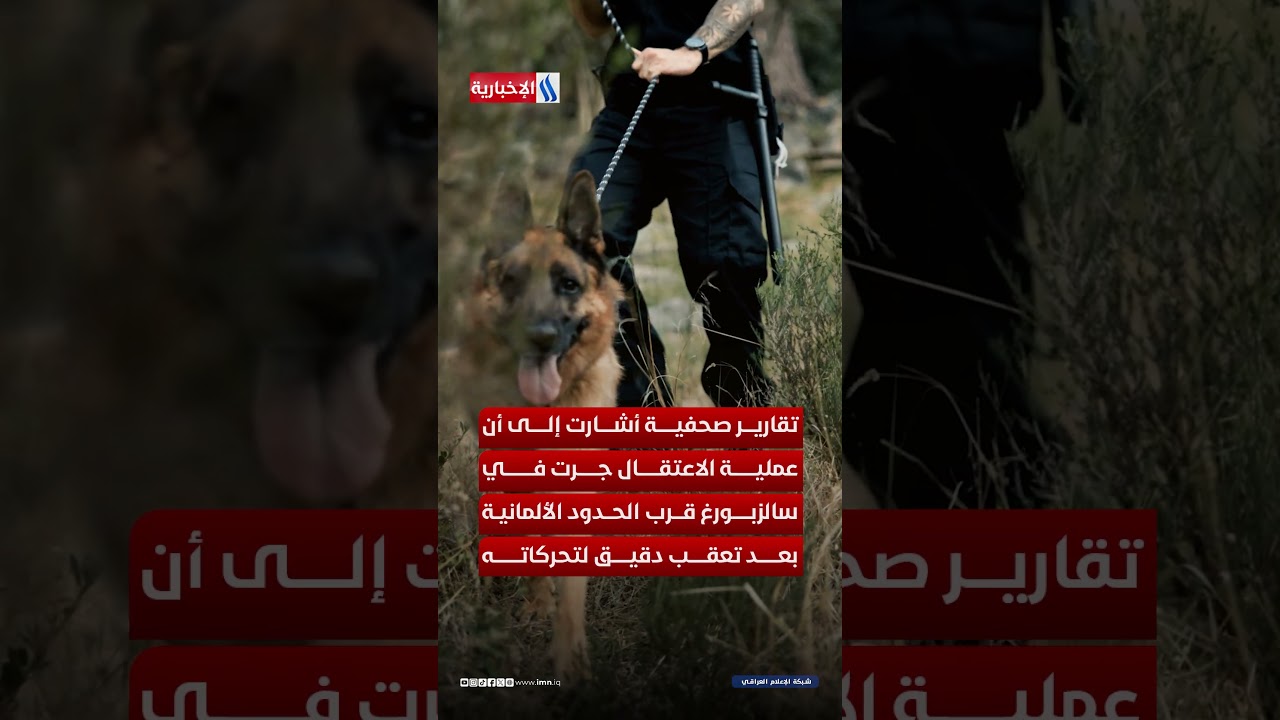 فيديو | سم فئران يتسلل إلى أغذية الرضع في أوروبا… كيف حدث أخطر ابتزاز غذائي؟