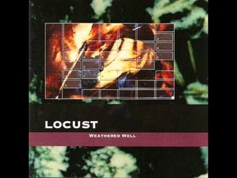 Locust : Music About Love