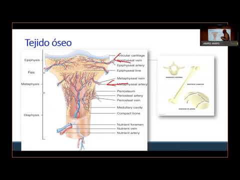 ENARM 2021 Traumatología y Ortopedia REVISIÓN DE TEMAS