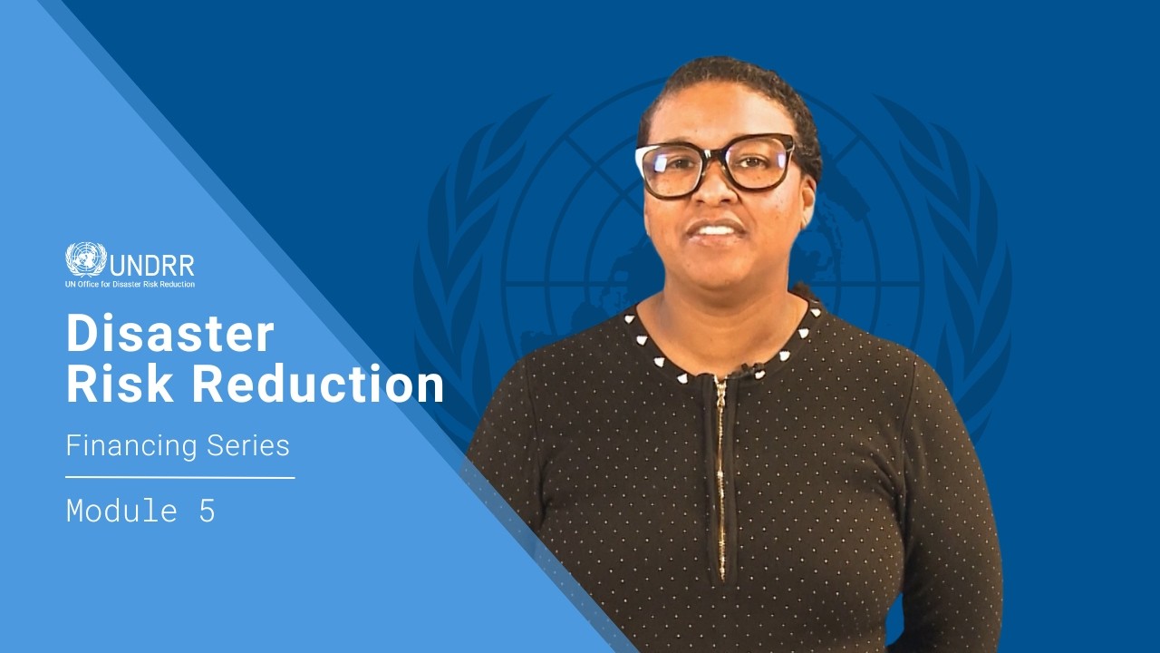 Module 5: How to build a national disaster risk reduction financing strategy | UNDRR