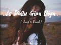 Jo Pallu Gira Diya Slowed Reverb