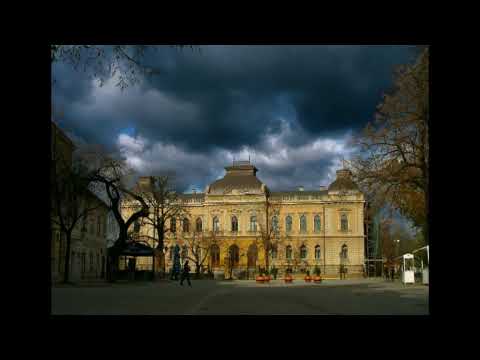 Razgranala grana jorgovana