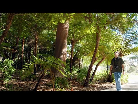 Destination WA - Reflections at Kings Park