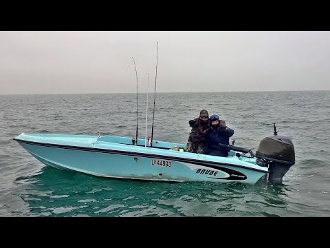 tonni a spinning! la grande attesa