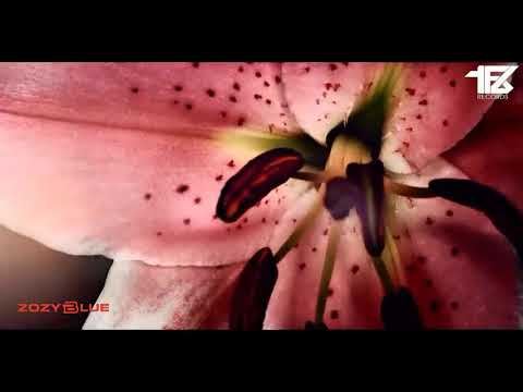 The Avains - Abyssal (Original Mix) TFB Records [Promo Video]