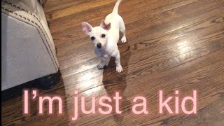 Download lagu I’m just a kid *SAD ENDING* mp3