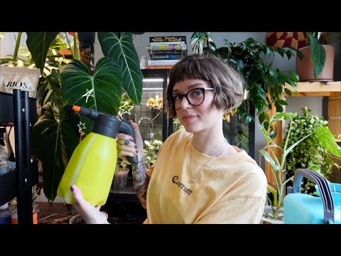 everything i use to maintain my indoor plant collection 🌿