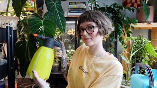 everything i use to maintain my indoor plant collection 🌿