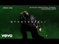 De Mthuda Kabza De Small Mckenzie Young Stunna Mkeyz Diwa Kae Visualizer