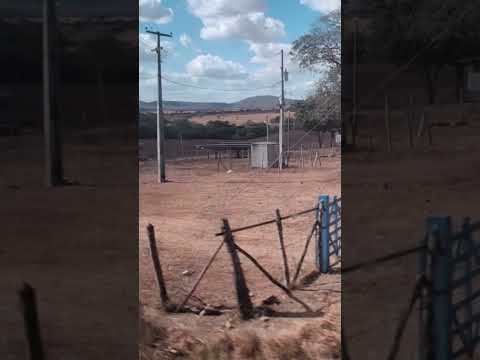 Riachão do Bacamate (PB ❤️