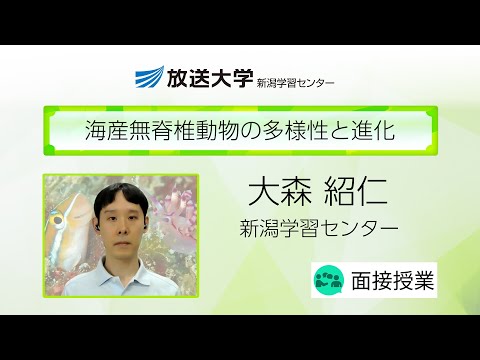海産無脊椎動物の多様性と進化（新潟学習センター）／大森　紹仁（新潟大学佐渡自然共生科学センター臨海実験所准教授）