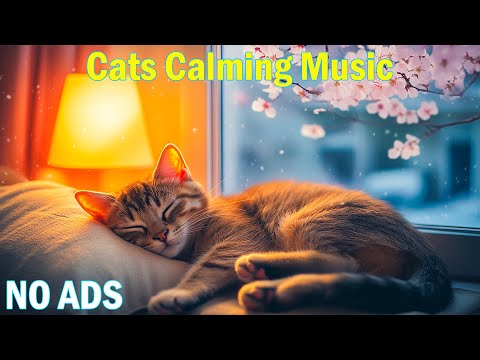 12-Hour Soothing Music for Cat Left Alone🎵Anti-Stress & Sleep Aid for Cat🐶All-Day Cat Calming Musi
