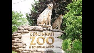 Cincinnati Zoo and Botanical Garden Full Tour - Ci