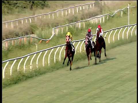 Galoppo 24/08/2019 - 2ª corsa