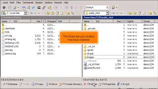 FTP: How to Manage Your Files in WinSCP