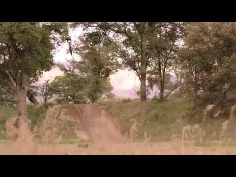 MOTOCROSS MOTIVATION 2018