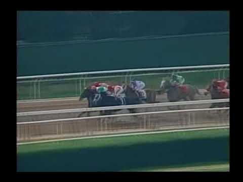 2007 Metropolitan Handicap