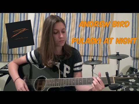 Andrew Bird - Pulaski at Night (Vocal and Guitar Cover)